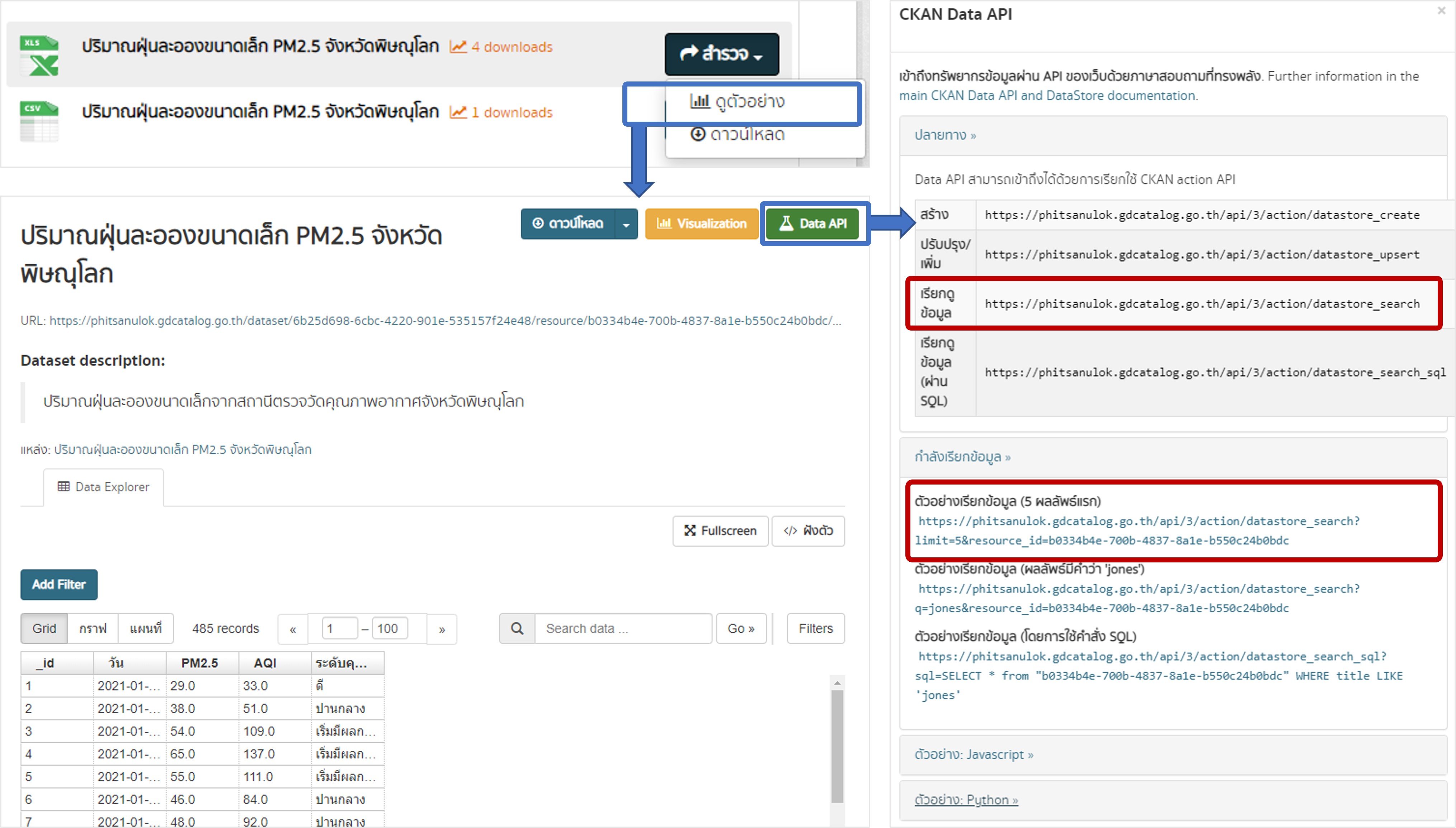 Where to find the syntax for CKAN API