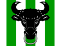 Bosk Gor flag